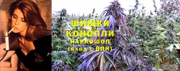 mdpv Елизово