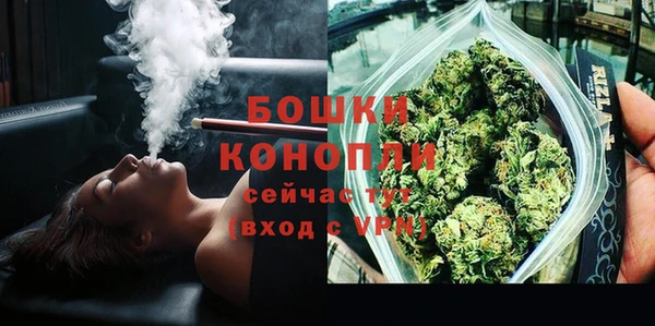 сатива Дмитровск
