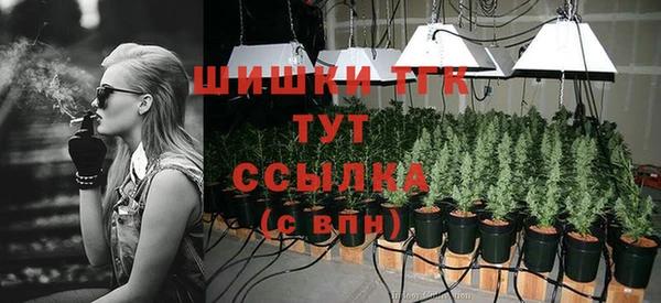 герыч Ельня