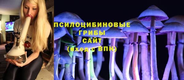 mdpv Елизово